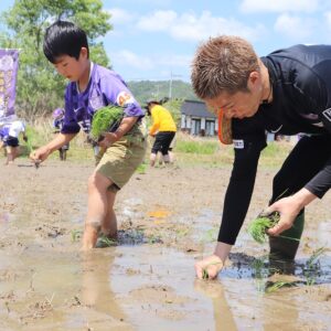 サンフレッチェ応援米でサンフレッチェ広島を応援しよう