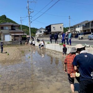 生協米あきろまん～安芸高田市で田植え体験会を開催～